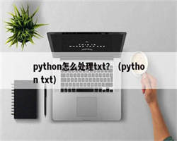 python怎么处理txt？（python txt）
