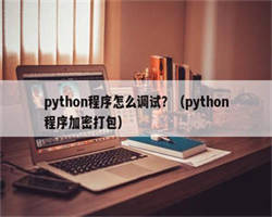 python程序怎么调试？（python程序加密打包）